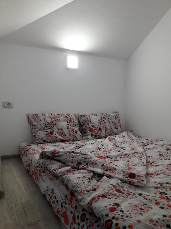Enduro Transalpina Apartment Obarsia-Lotrului Exterior photo