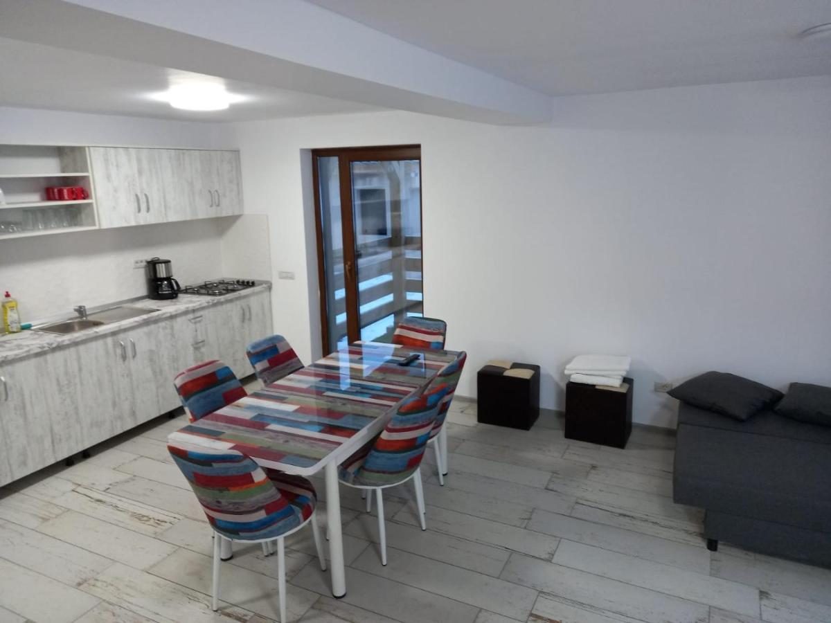 Enduro Transalpina Apartment Obarsia-Lotrului Exterior photo